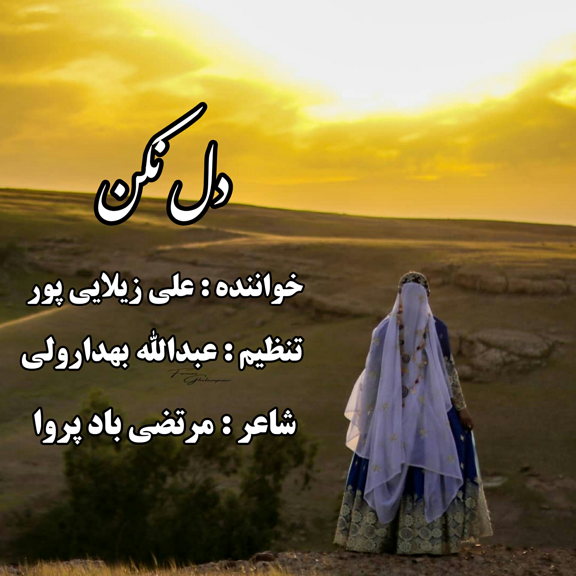 علی زیلایی پور دل نکن